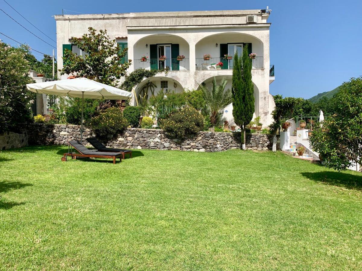 Villa Vincenzo Di Meglio Barano dʼIschia Екстериор снимка