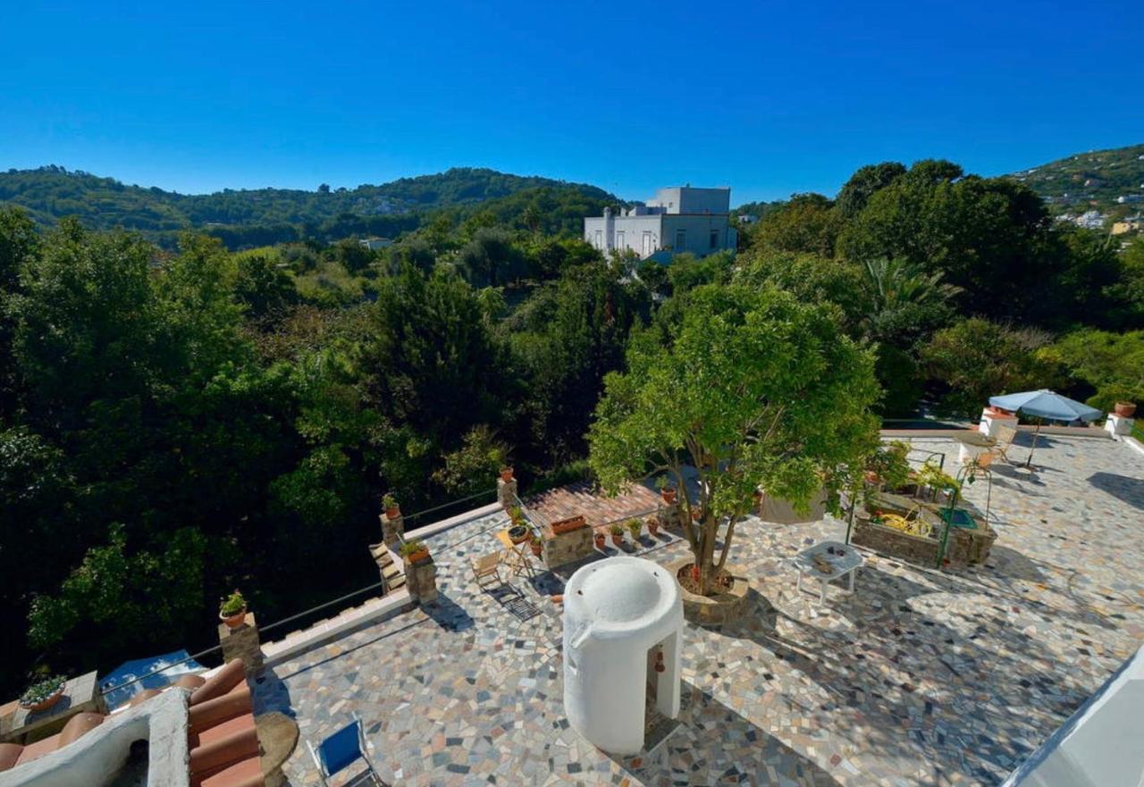 Villa Vincenzo Di Meglio Barano dʼIschia Екстериор снимка