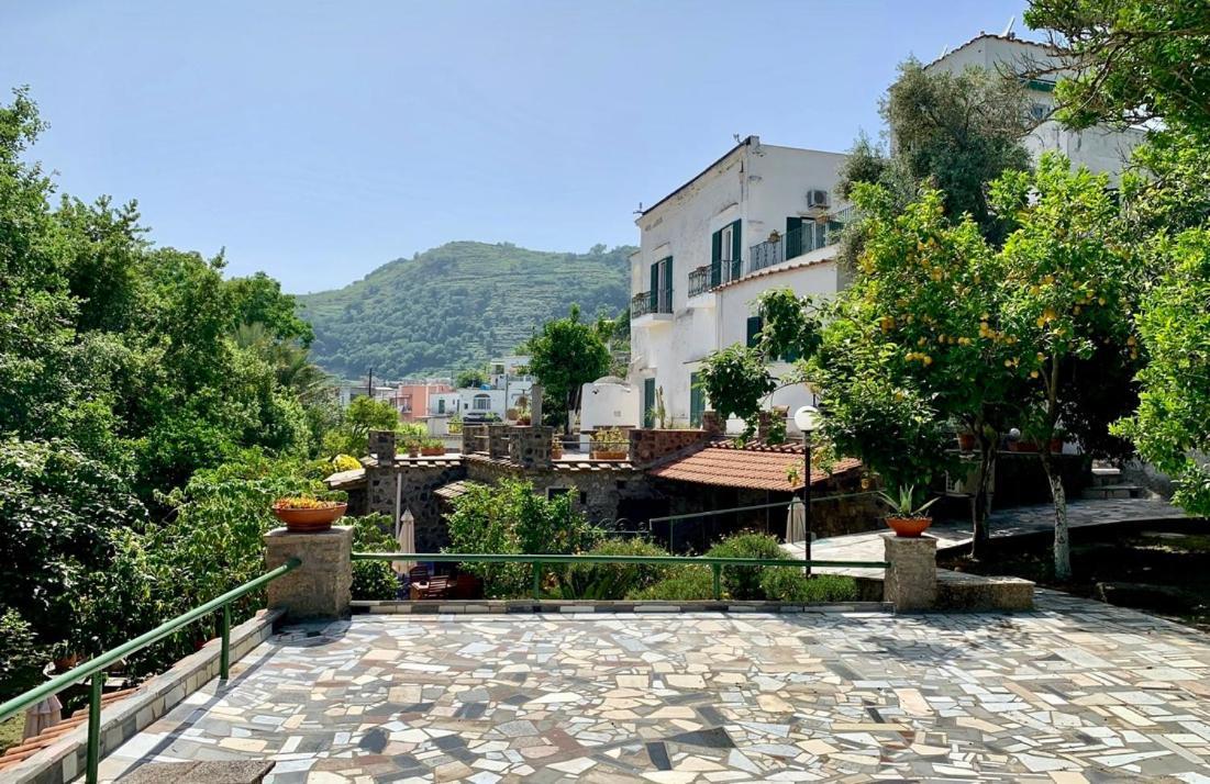 Villa Vincenzo Di Meglio Barano dʼIschia Екстериор снимка