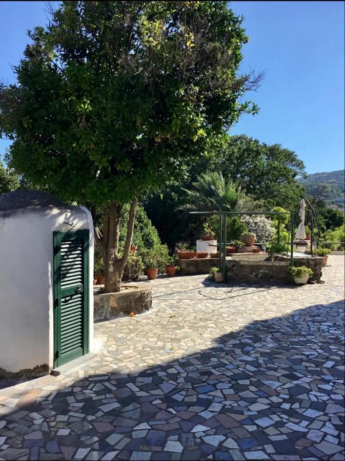 Villa Vincenzo Di Meglio Barano dʼIschia Екстериор снимка