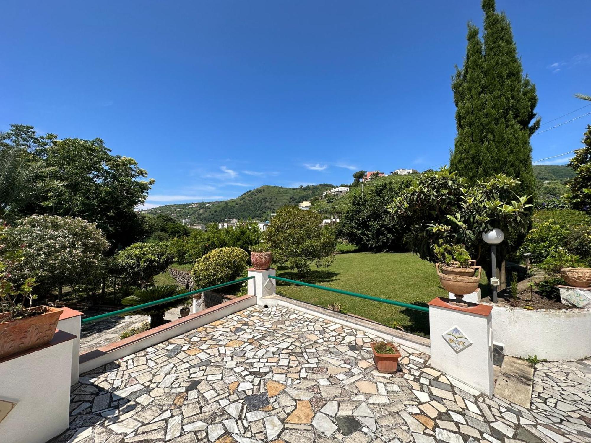 Villa Vincenzo Di Meglio Barano dʼIschia Екстериор снимка