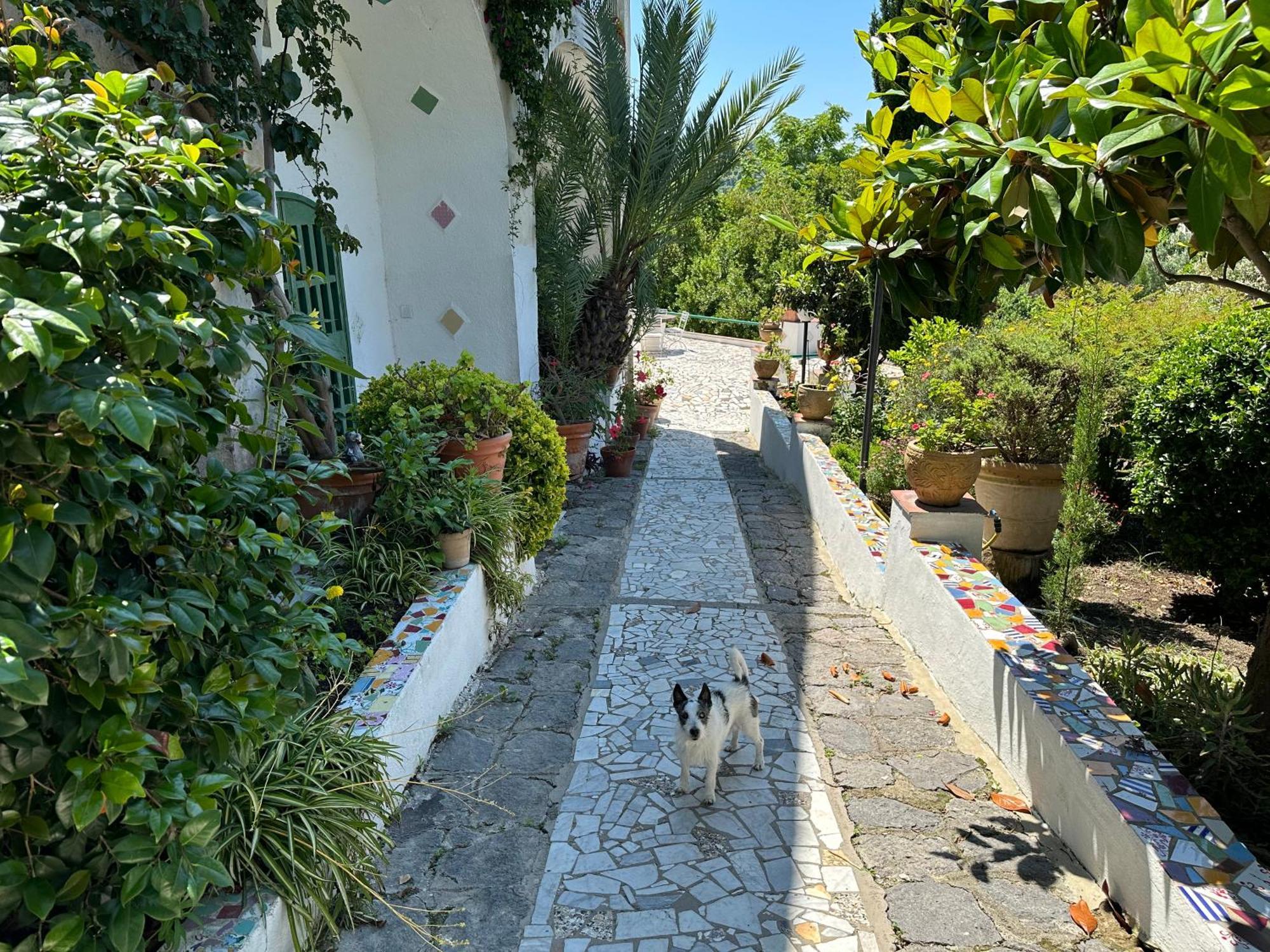 Villa Vincenzo Di Meglio Barano dʼIschia Екстериор снимка