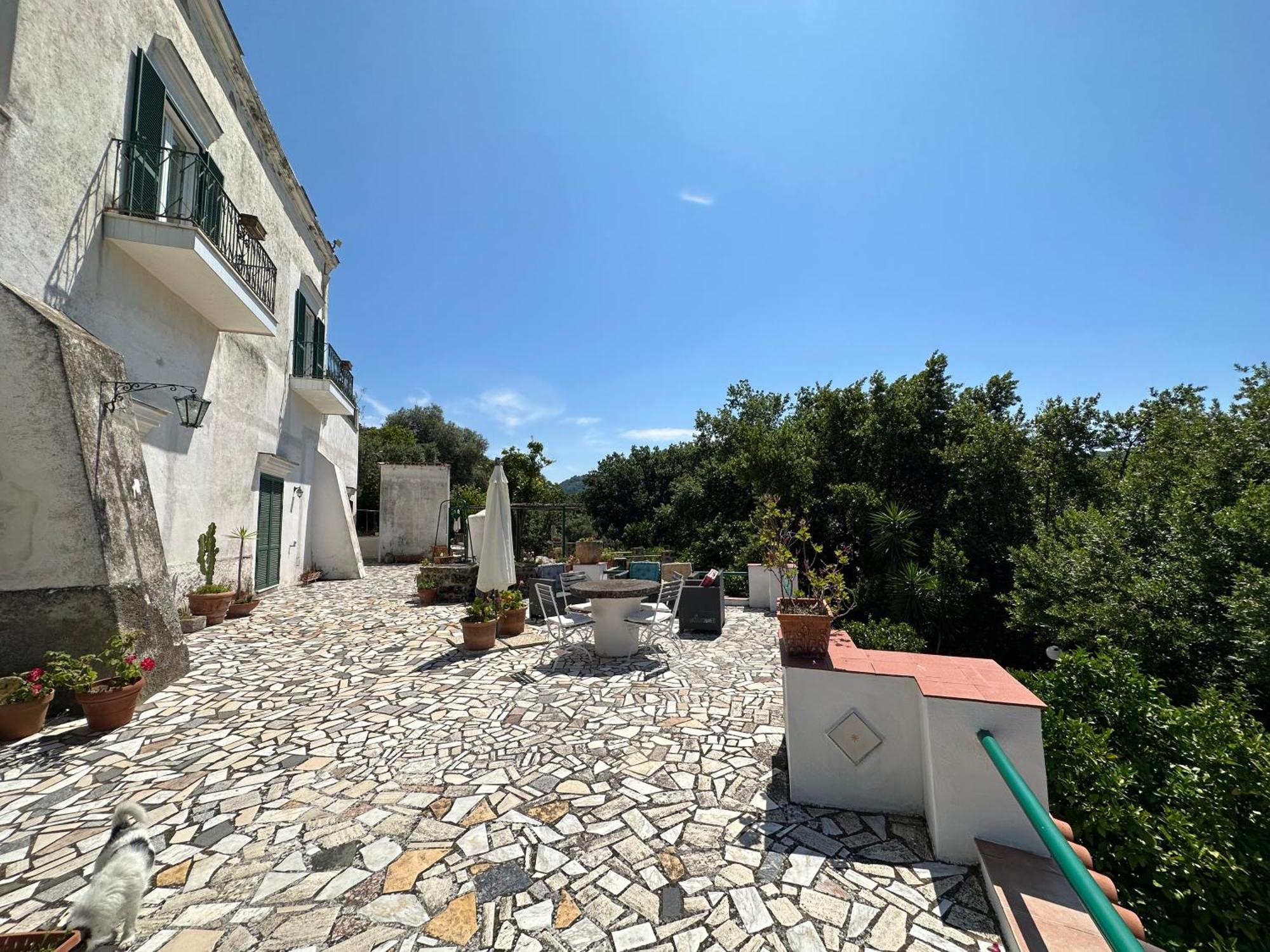 Villa Vincenzo Di Meglio Barano dʼIschia Екстериор снимка