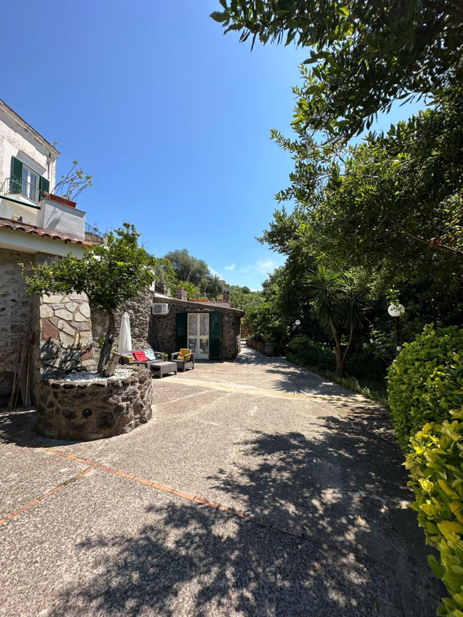 Villa Vincenzo Di Meglio Barano dʼIschia Екстериор снимка