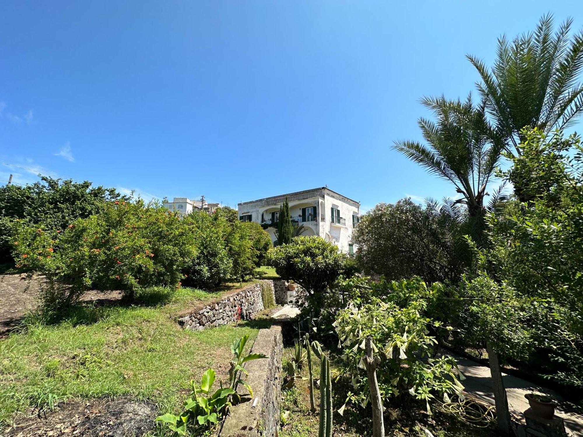 Villa Vincenzo Di Meglio Barano dʼIschia Екстериор снимка