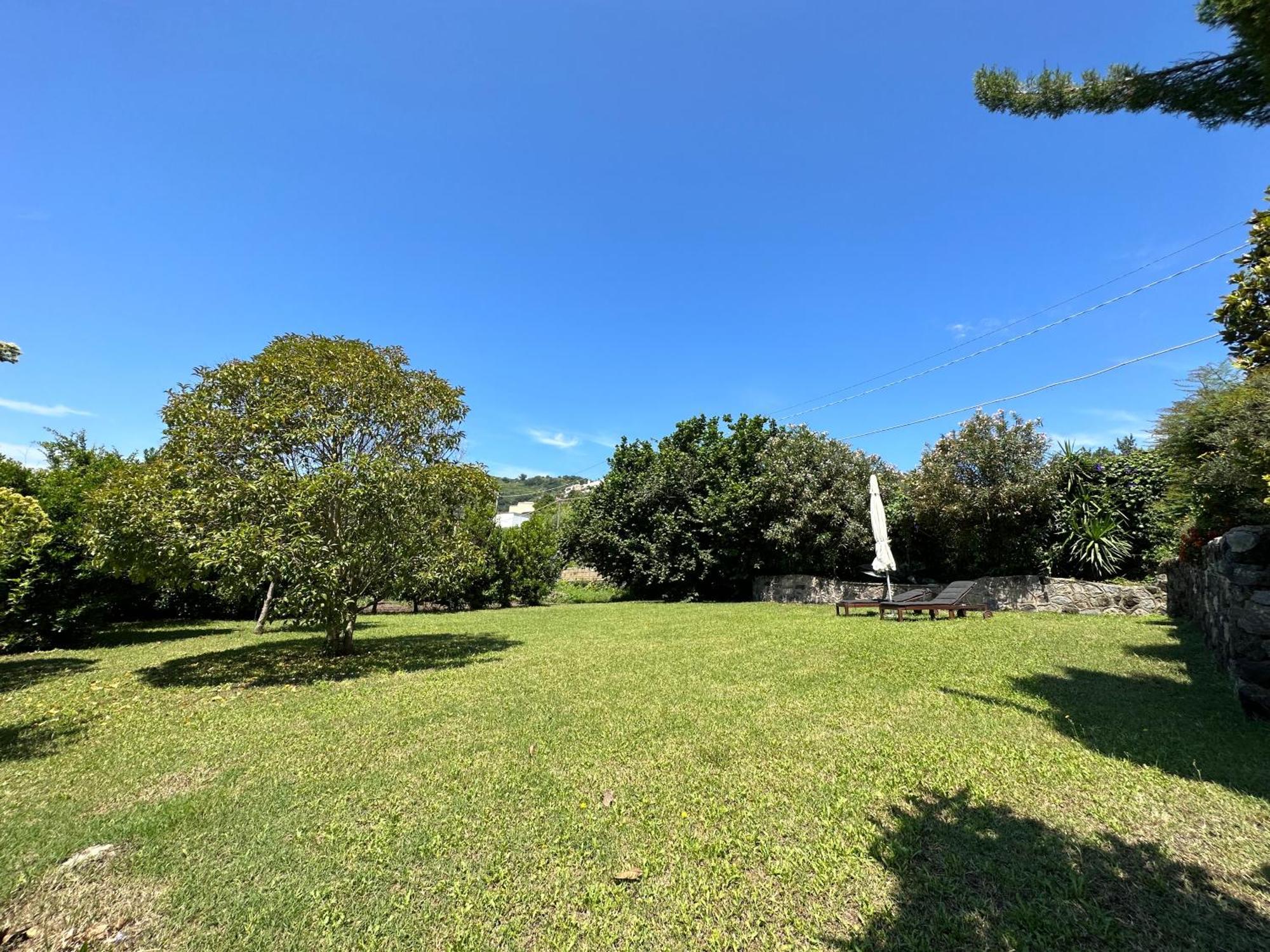 Villa Vincenzo Di Meglio Barano dʼIschia Екстериор снимка