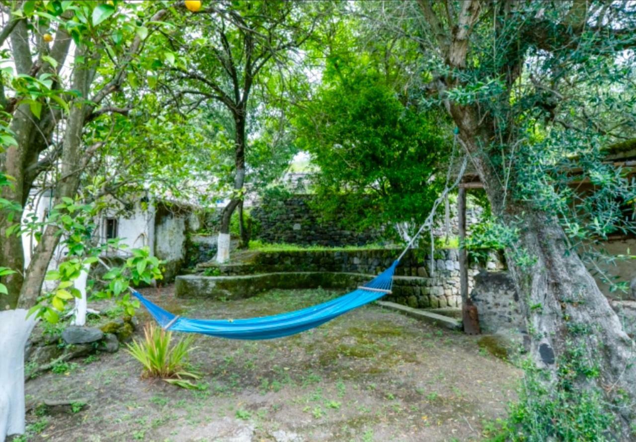 Villa Vincenzo Di Meglio Barano dʼIschia Екстериор снимка