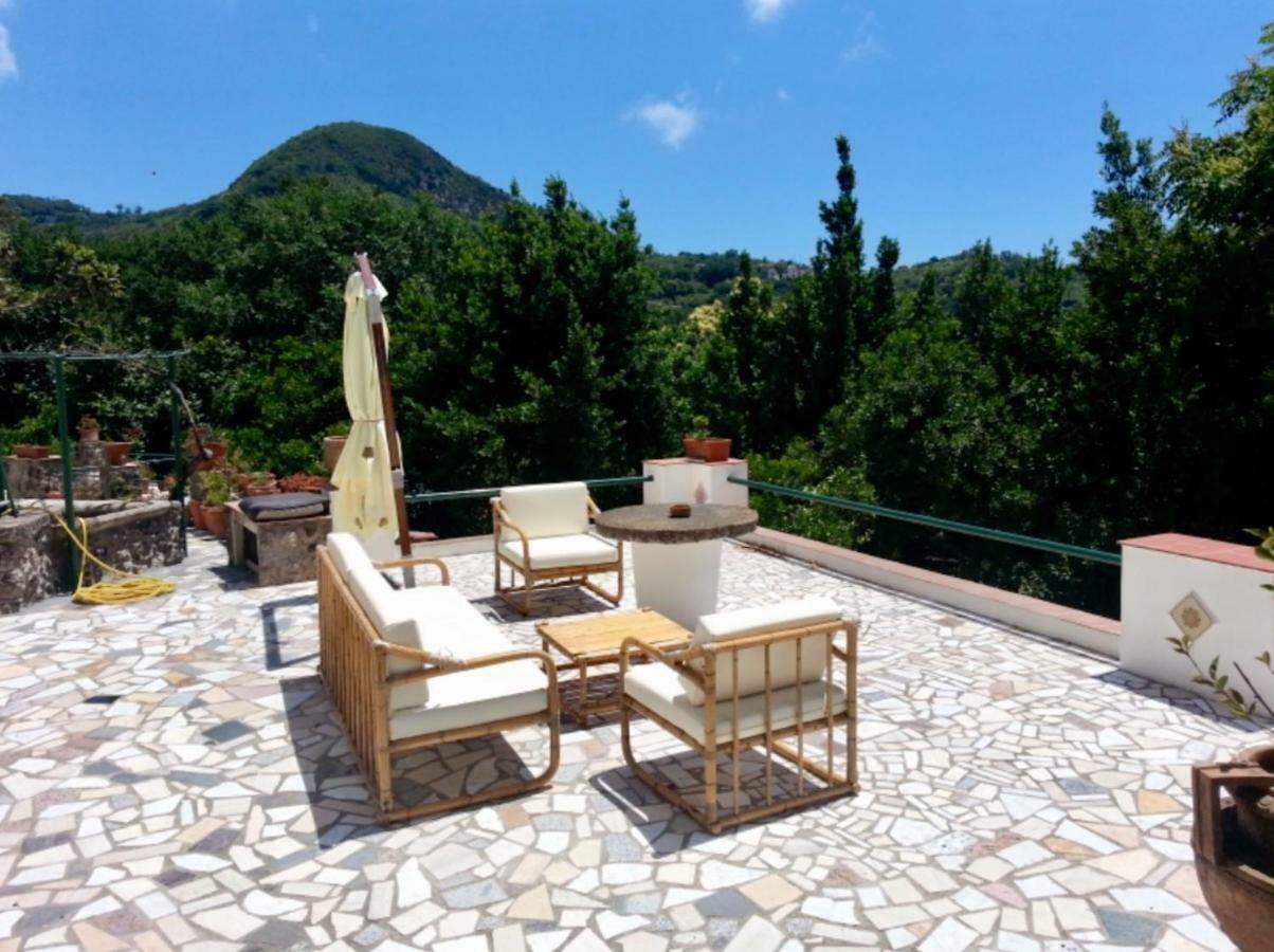 Villa Vincenzo Di Meglio Barano dʼIschia Екстериор снимка