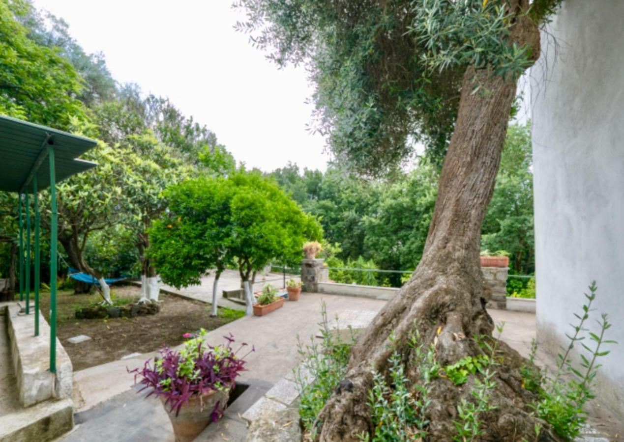 Villa Vincenzo Di Meglio Barano dʼIschia Екстериор снимка