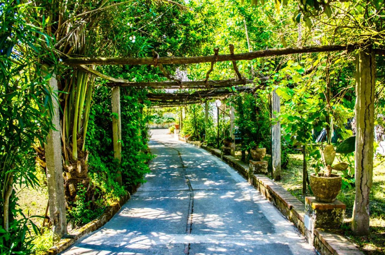 Villa Vincenzo Di Meglio Barano dʼIschia Екстериор снимка