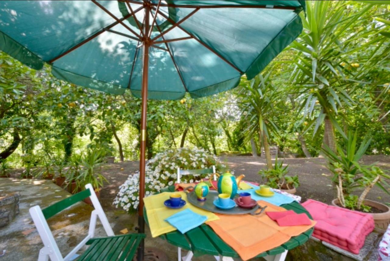 Villa Vincenzo Di Meglio Barano dʼIschia Екстериор снимка