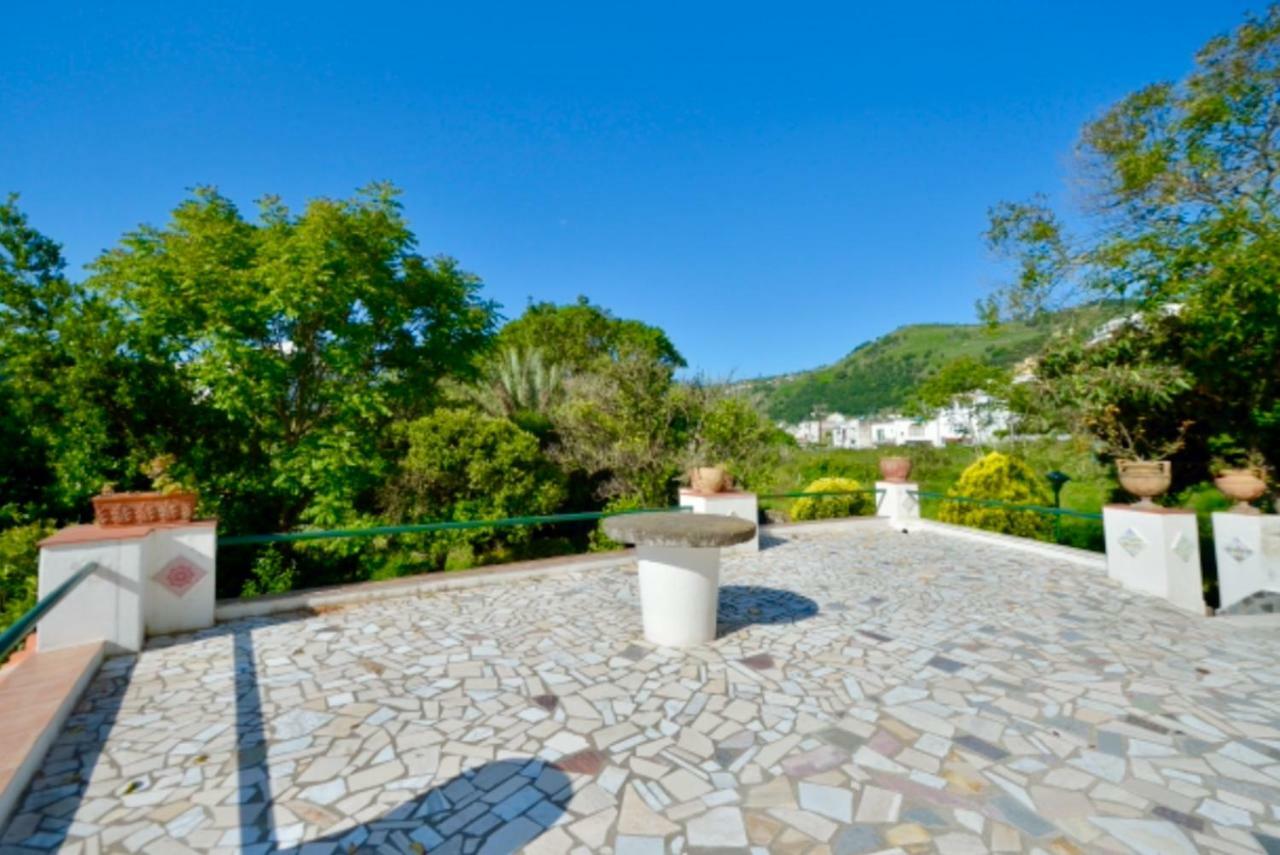 Villa Vincenzo Di Meglio Barano dʼIschia Екстериор снимка