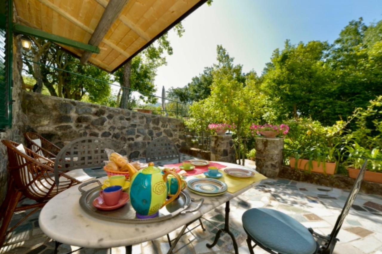 Villa Vincenzo Di Meglio Barano dʼIschia Екстериор снимка